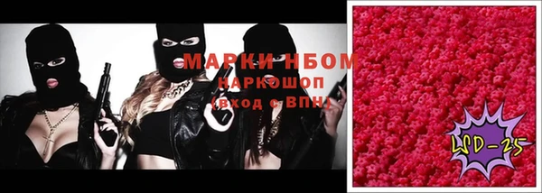 гашик Кулебаки